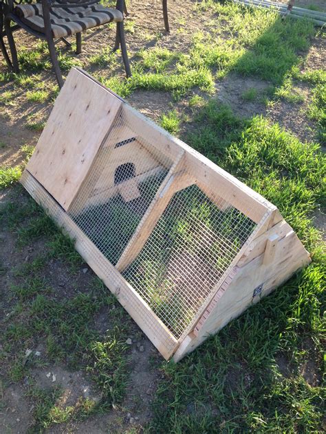 best quail coop design|Quail Coop Ideas: Learn How to Build Coops For Quail